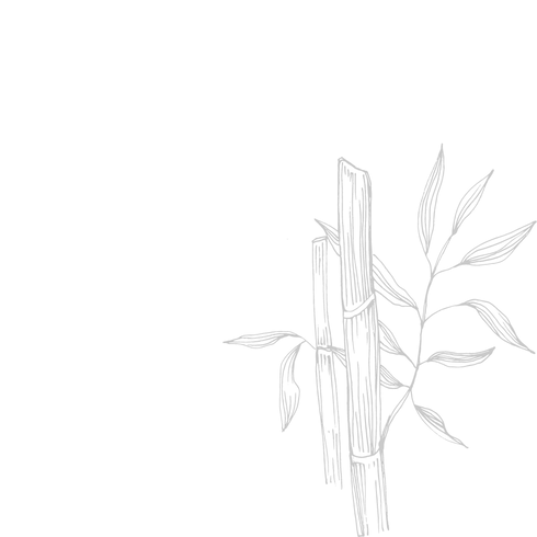 Sans titre (5).png